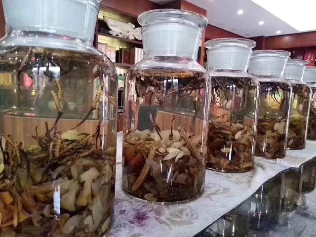 10斤白酒放多少冬虫夏草，20斤酒放多少冬虫夏草（藏民解说冬虫夏草泡酒配方与功效）