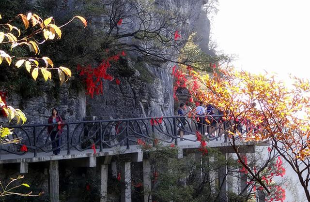 去张家界玻璃桥攻略，张家界大峡谷玻璃桥旅游攻略（张家界天门山玻璃栈道旅友攻略）