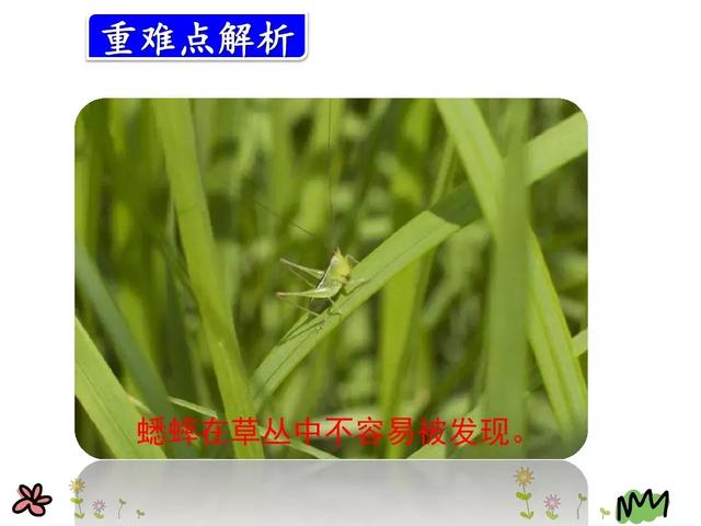 草堆的拼音，草垛的读音是“cǎo（部编版三年级上册语文第10课《在牛肚子里旅行》课文预习）