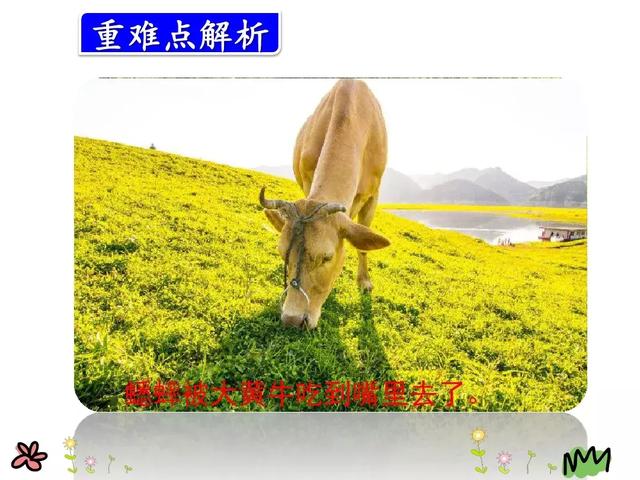 草堆的拼音，草垛的读音是“cǎo（部编版三年级上册语文第10课《在牛肚子里旅行》课文预习）