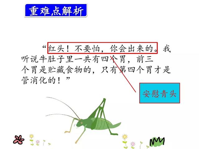 草堆的拼音，草垛的读音是“cǎo（部编版三年级上册语文第10课《在牛肚子里旅行》课文预习）