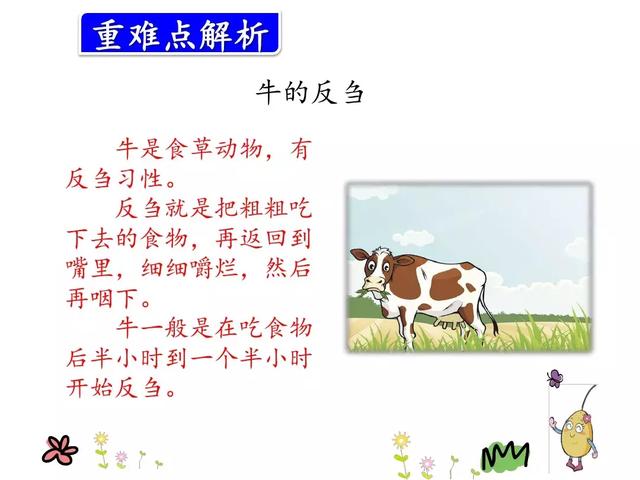 草堆的拼音，草垛的读音是“cǎo（部编版三年级上册语文第10课《在牛肚子里旅行》课文预习）