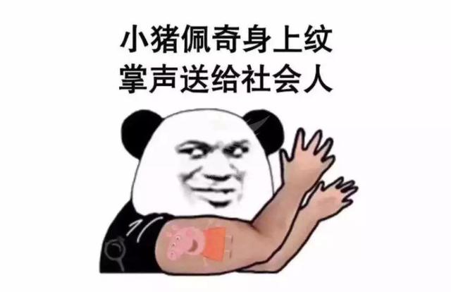 pick是什么意思，pick是啥意思呀（这些网络热词哪个最能为雅安打call~）