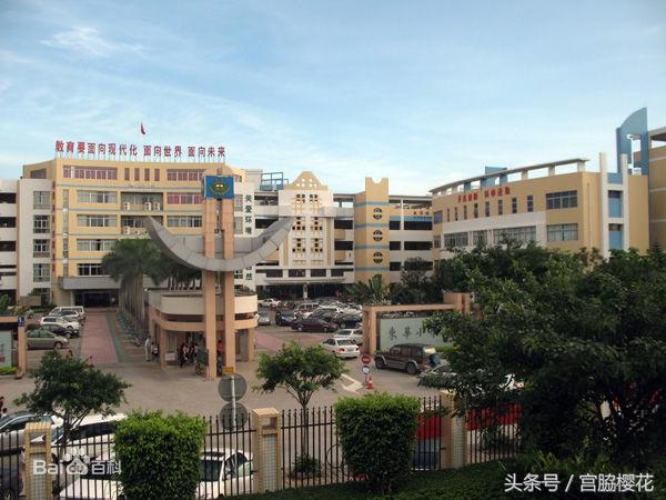 东莞粤华学校地址（东莞最热门的10所民办学校）