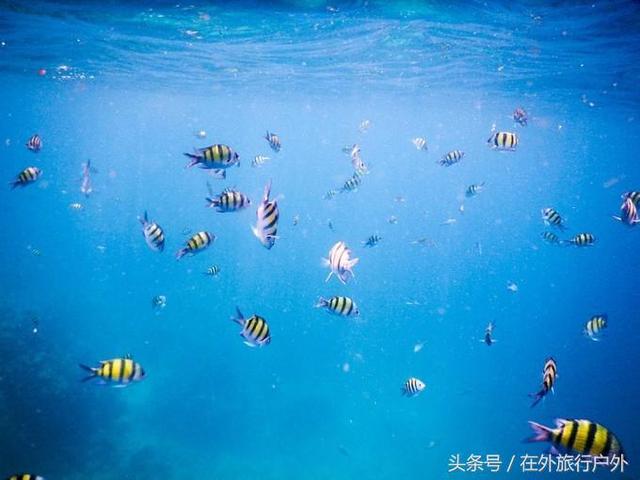 画面泰国旅游骑大象，90后小清新出游泰国