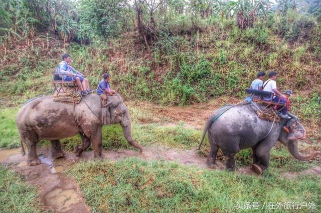画面泰国旅游骑大象，90后小清新出游泰国