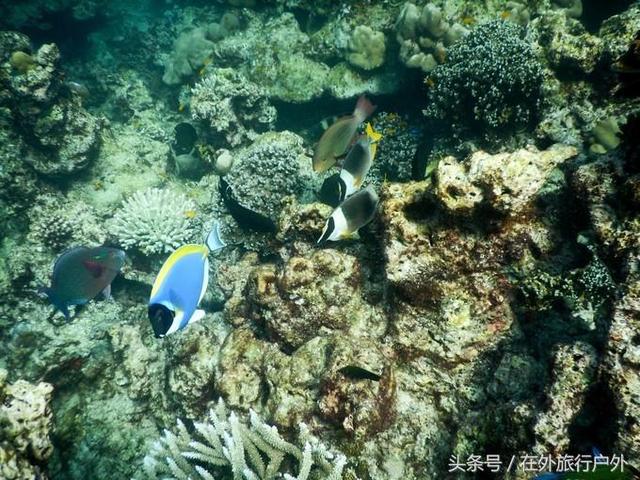 画面泰国旅游骑大象，90后小清新出游泰国