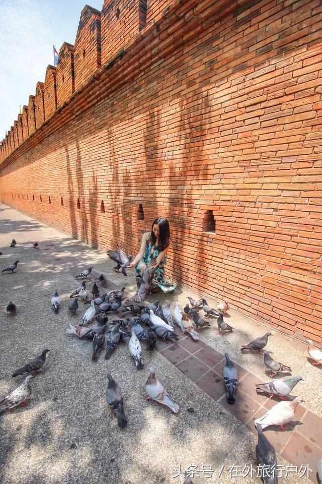 画面泰国旅游骑大象，90后小清新出游泰国