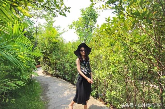 画面泰国旅游骑大象，90后小清新出游泰国