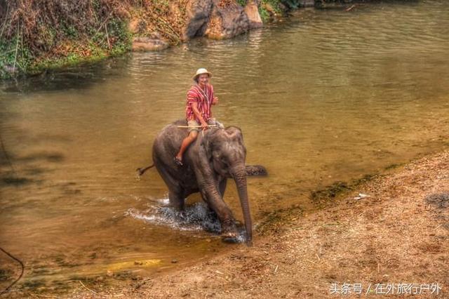 画面泰国旅游骑大象，90后小清新出游泰国
