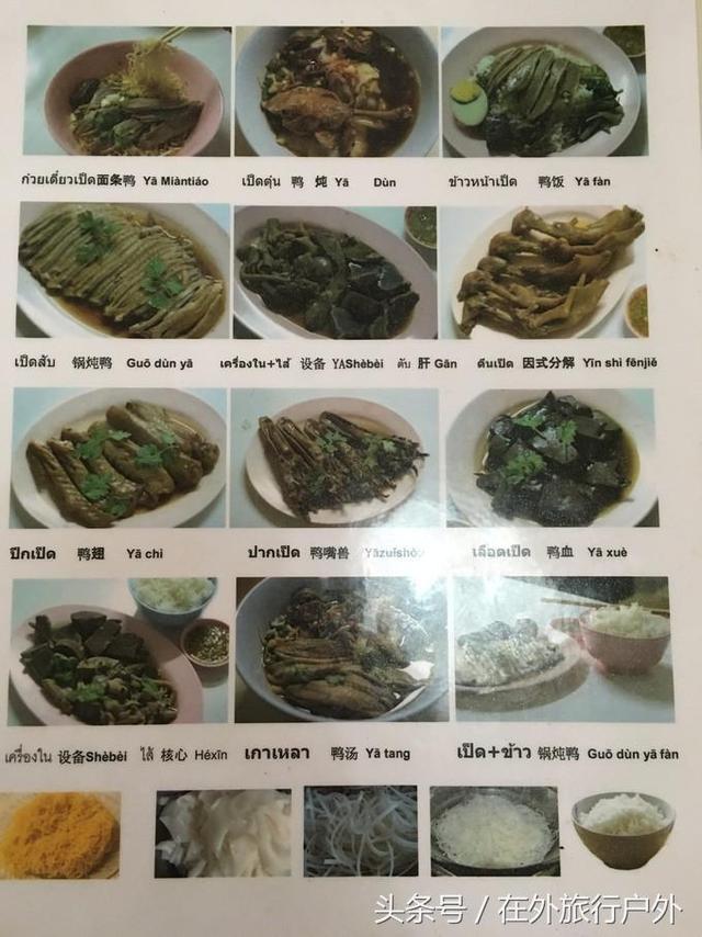 画面泰国旅游骑大象，90后小清新出游泰国