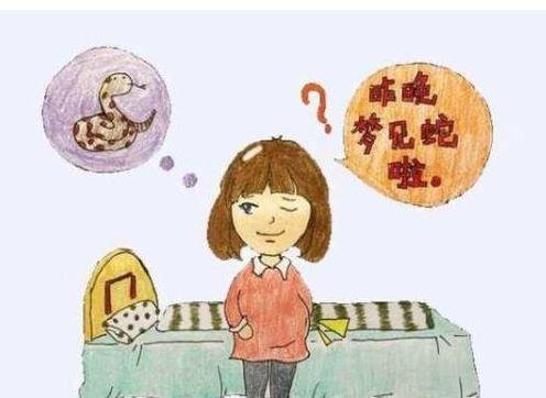 女人梦见蜘蛛是什么预兆，女人梦见蜘蛛是什么意思（有人梦蛇有人梦蜘蛛，你梦的啥）