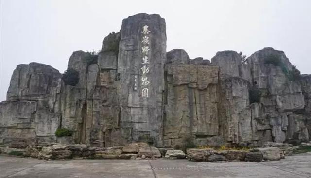 秦岭野生动物园游玩攻略，秦岭野生动物园园内游玩攻略（西安秦岭野生动物园）