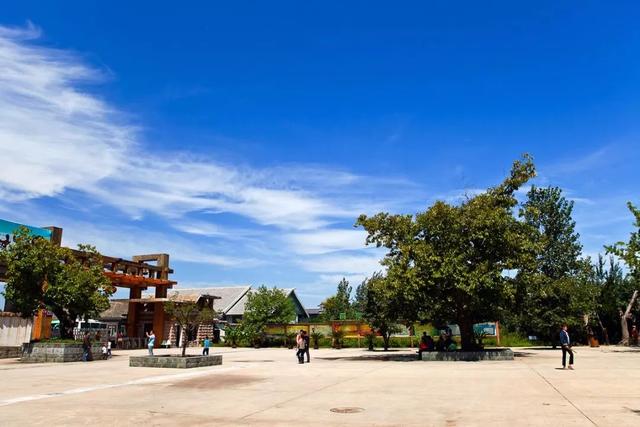 秦岭野生动物园游玩攻略，秦岭野生动物园园内游玩攻略（西安秦岭野生动物园）