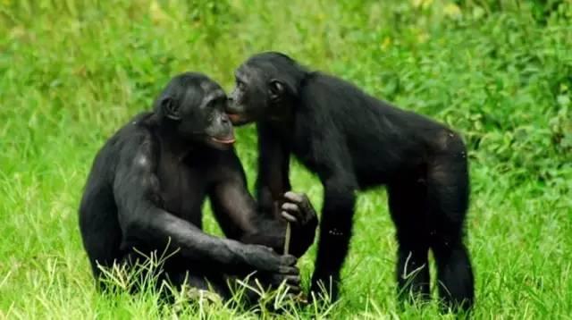 秦岭野生动物园游玩攻略，秦岭野生动物园园内游玩攻略（西安秦岭野生动物园）