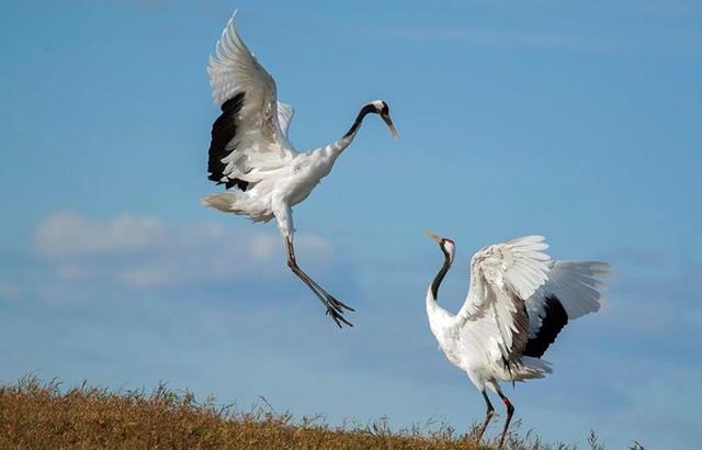 秦岭野生动物园游玩攻略，秦岭野生动物园园内游玩攻略（西安秦岭野生动物园）
