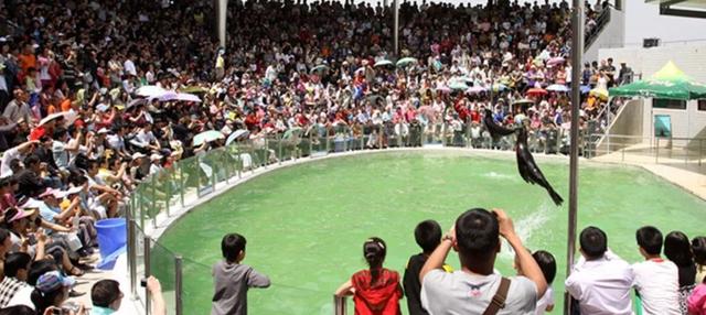 秦岭野生动物园游玩攻略，秦岭野生动物园园内游玩攻略（西安秦岭野生动物园）