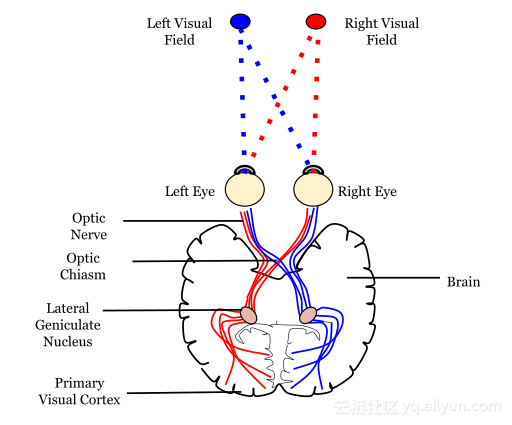NetSarang Computer，谁能帮我了解xftp是什么吗（一文入门卷积神经网络）