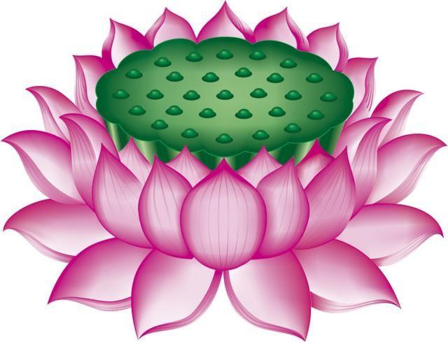 一句佛语点透人生，看淡人生的佛语句子（能让人心静下来的佛语）