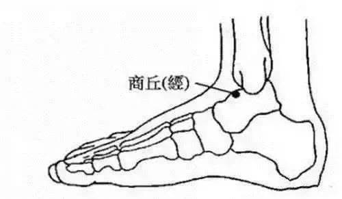 瘦人长胖最有效的方法，健脾不仅有食疗