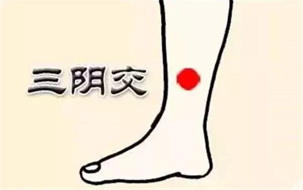 瘦人长胖最有效的方法，健脾不仅有食疗