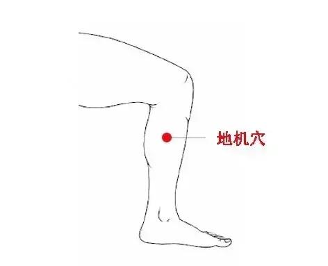 瘦人长胖最有效的方法，健脾不仅有食疗