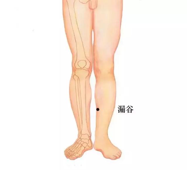 瘦人长胖最有效的方法，健脾不仅有食疗
