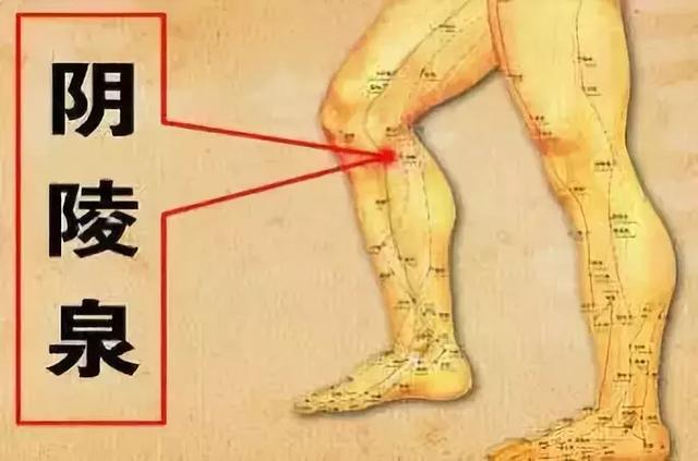 瘦人长胖最有效的方法，健脾不仅有食疗