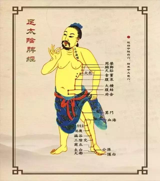 瘦人长胖最有效的方法，健脾不仅有食疗