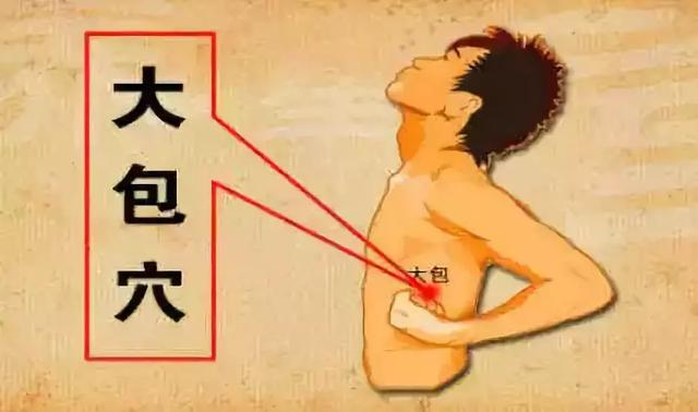 瘦人长胖最有效的方法，健脾不仅有食疗