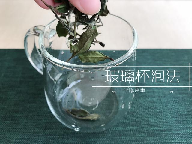 白茶的冲泡法，白茶的正确冲泡方法（图解白茶冲泡三大方式）