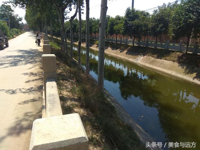 正宗陕西老碗面，倒是一碗老碗面真是够实在