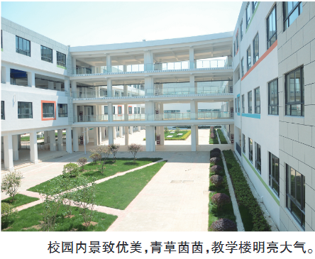 合肥一六八中学校园网（合肥一六八新桥学校）