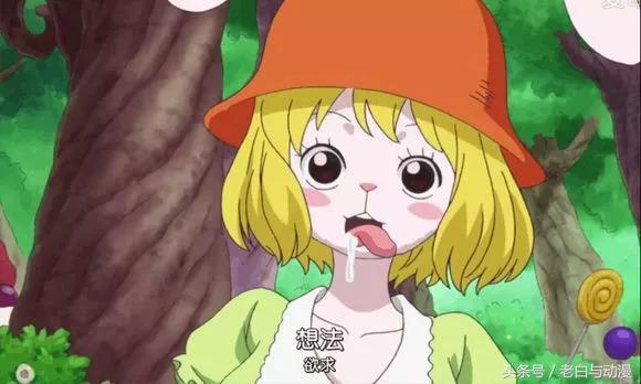 海贼王里面的一只兔子，海贼王里那只兔子（海贼王：萌兔加洛特有多可爱）