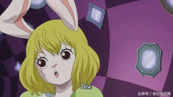 海贼王里面的一只兔子，海贼王里那只兔子（海贼王：萌兔加洛特有多可爱）