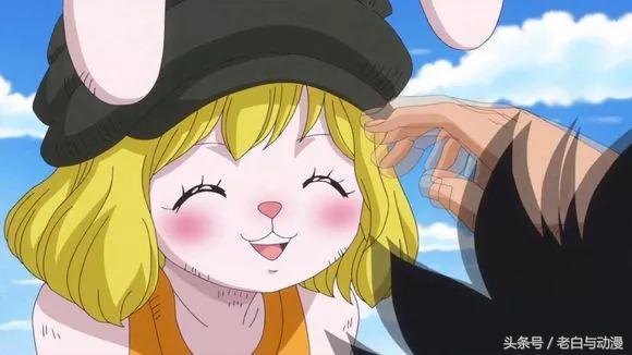 海贼王里面的一只兔子，海贼王里那只兔子（海贼王：萌兔加洛特有多可爱）
