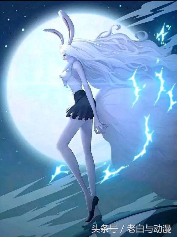 海贼王里面的一只兔子，海贼王里那只兔子（海贼王：萌兔加洛特有多可爱）