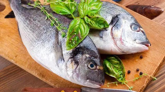 鱼泡是鱼的什么器官，鱼鳔是鱼的什么部位（鱼身上的这个部位，千万不要吃）