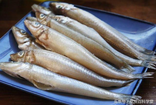 无刺鱼有哪些，第3种很多人都没见过（无刺鱼有哪些煎鱼）