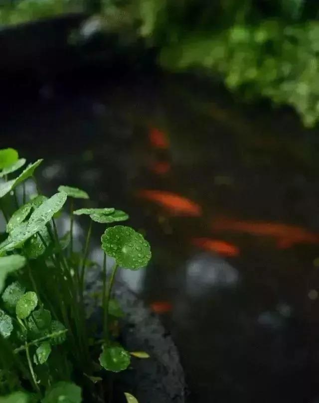 有缘千里来相会下一句，“有缘千里来相会”的下一句到底是什么（“有缘千里来相会”的下一句是什么）