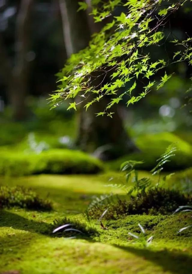 有缘千里来相会下一句，“有缘千里来相会”的下一句到底是什么（“有缘千里来相会”的下一句是什么）