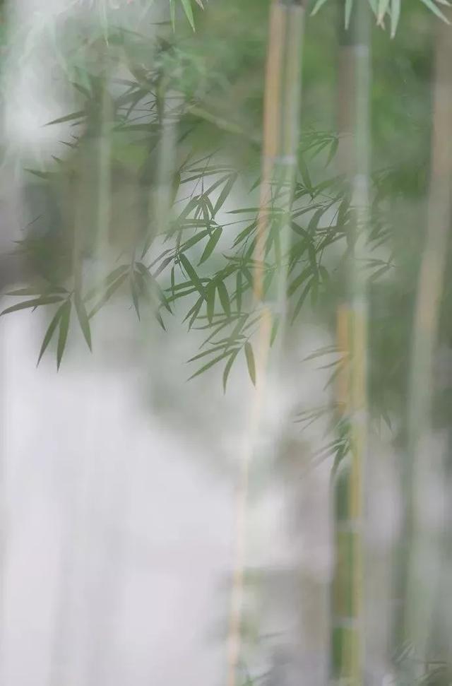 有缘千里来相会下一句，“有缘千里来相会”的下一句到底是什么（“有缘千里来相会”的下一句是什么）