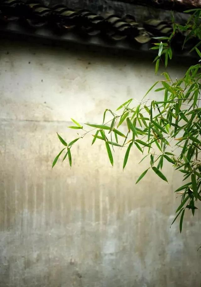 有缘千里来相会下一句，“有缘千里来相会”的下一句到底是什么（“有缘千里来相会”的下一句是什么）