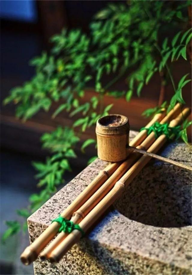 有缘千里来相会下一句，“有缘千里来相会”的下一句到底是什么（“有缘千里来相会”的下一句是什么）