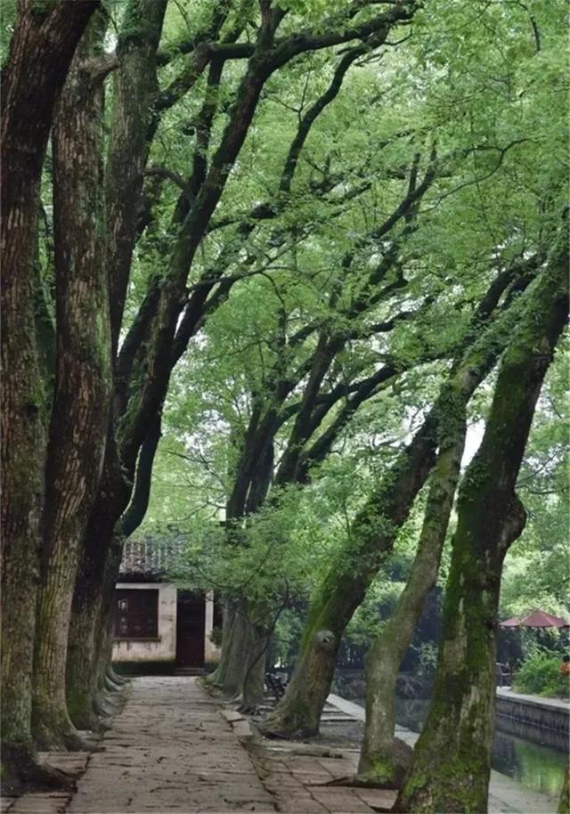 有缘千里来相会下一句，“有缘千里来相会”的下一句到底是什么（“有缘千里来相会”的下一句是什么）