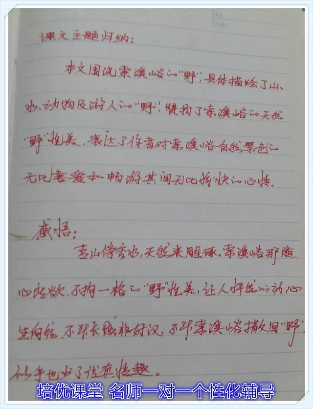 索溪峪的野主要内容，索溪峪的野从哪四个方面（4.索溪峪的“野”）