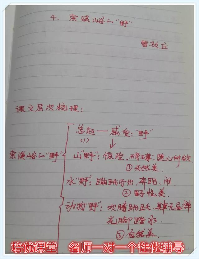 索溪峪的野主要内容，索溪峪的野从哪四个方面（4.索溪峪的“野”）