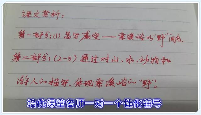 索溪峪的野主要内容，索溪峪的野从哪四个方面（4.索溪峪的“野”）