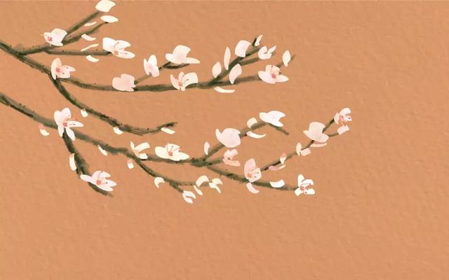 惊艳了千年的古风成语，梨花带雨、水木清华、岸芷汀兰