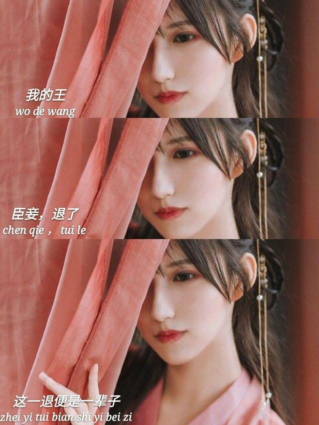 愿陪你三世，微信头像，愿陪你三世（背景图，灼灼桃花十里）